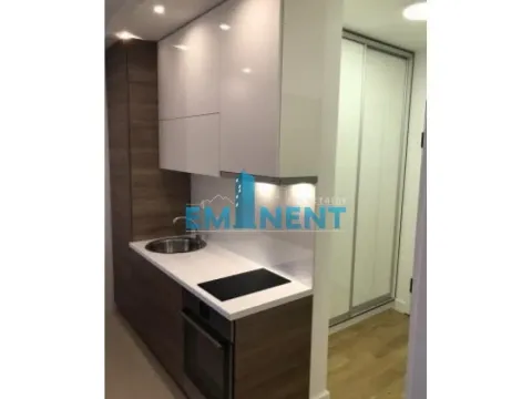 Izdavanje, stan, 43m², Južni Bulevar, Vračar Sve Podlokacije - image 3