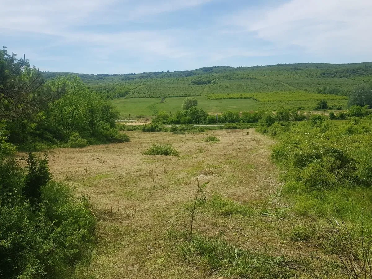Prodaja, plac, 30000m², Boleč, Grocka