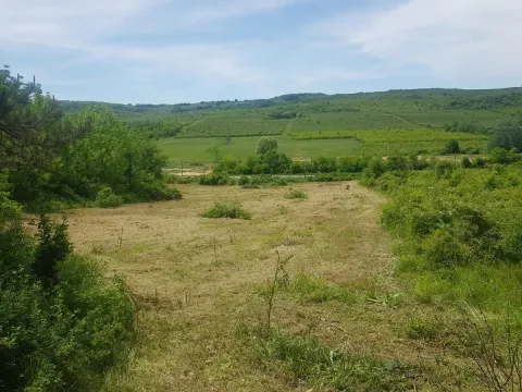 Sale, land lot, 300m², Boleč, Grocka - image 7