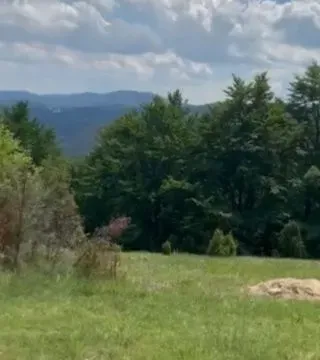 Prodaja, plac, 989m², Zlatibor, Srbija - image 6