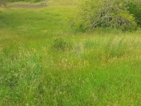 Prodaja, kuća, 80m², Nikšić, Crna Gora - image 6