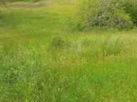 Sale, house, 80m², Nikšić, Crna Gora - image 6