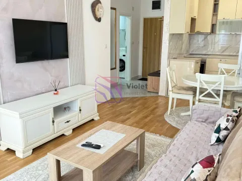 Izdavanje, jednosoban stan, 47m², Zagorič, Podgorica - image 7