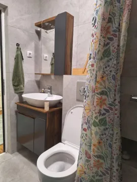 Rent, two bedroom apartment, 55m², Tašmajdan, Palilula Sve Podlokacije - image 10