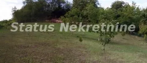 Sale, land lot, 3800m², Sremska Kamenica, Petrovaradin