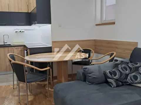 Izdavanje, dvosoban stan, 44m², Centar, Novi Sad