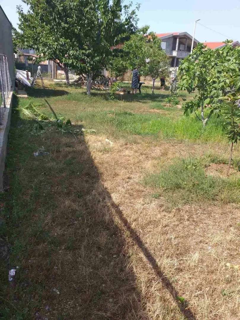 Zeleno dvorište sa drvećem i travnjakom.