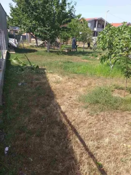 Zeleno dvorište sa drvećem i travnjakom. - image 3