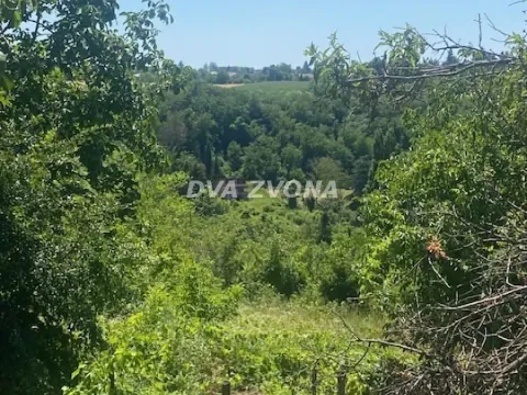 Prodaja, plac, 2000m², Čortanovci, Inđija - image 3