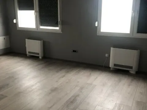 Izdavanje, poslovni prostor, 500m², Zemun Sve Podlokacije, Beograd - image 3