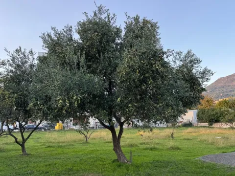 Sale, land lot, 5000m², Čeluga, Bar - image 4