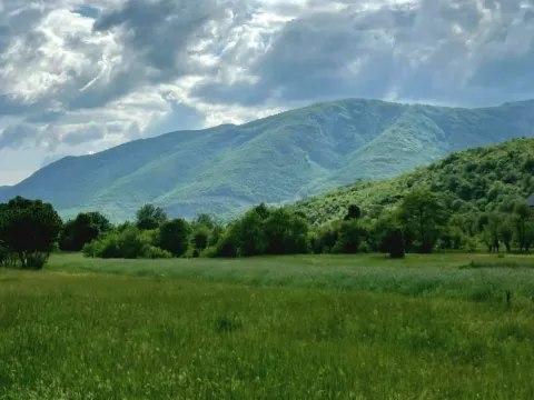 Prodaja, plac, Nikšić, Crna Gora - image 3