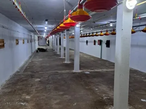 Sale, office space, 1026m², Temerin, Novi Sad - image 9