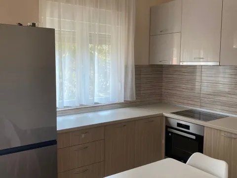 Rent, one bedroom apartment, 55m², Zabjelo, Podgorica - image 3