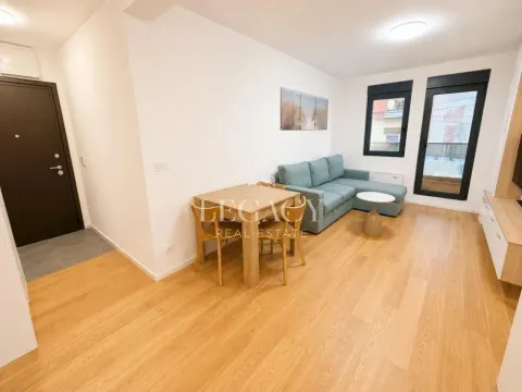 Rent, one bedroom apartment, 32m², Kluz, Zvezdara Sve Podlokacije - image 8
