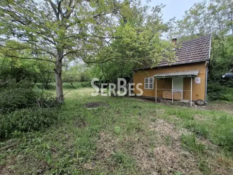Prodaja, plac, 1048m², Čerević, Beočin - image 9