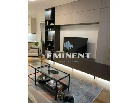 Izdavanje, dvosoban stan, 50m², Južni Bulevar, Vračar Sve Podlokacije - image 1