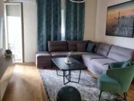 Izdavanje, jednosoban stan, 49m², Central Point, Podgorica - image 1