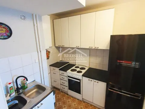 Izdavanje, jednosoban stan, 39m², Vračar Sve Podlokacije, Beograd - image 5