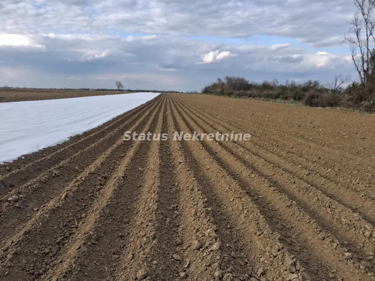 Prodaja, plac, 12710m², Futog, Novi Sad Sve Podlokacije