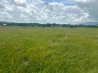 Prodaja, plac, 8667m², Danilovgrad, Crna Gora - image 3