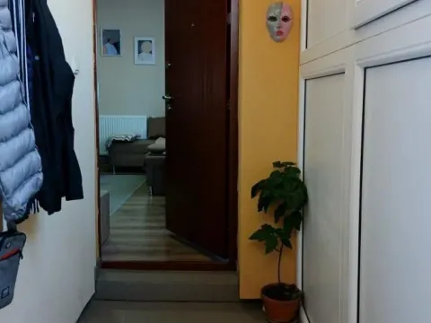 Prodaja, jednosoban stan, 35m², Adice, Novi Sad Sve Podlokacije - image 4