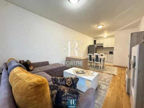 Izdavanje, jednosoban stan, 50m², Stari Aerodrom, Podgorica - image 3