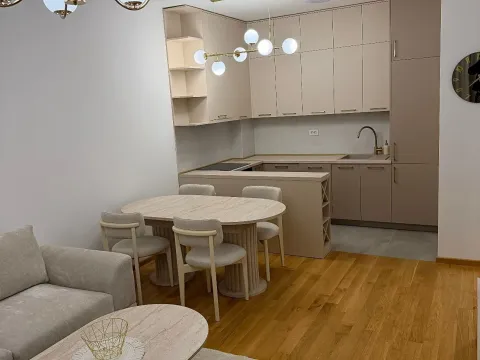 Izdavanje, jednosoban stan, 50m², Zabjelo, Podgorica - image 2