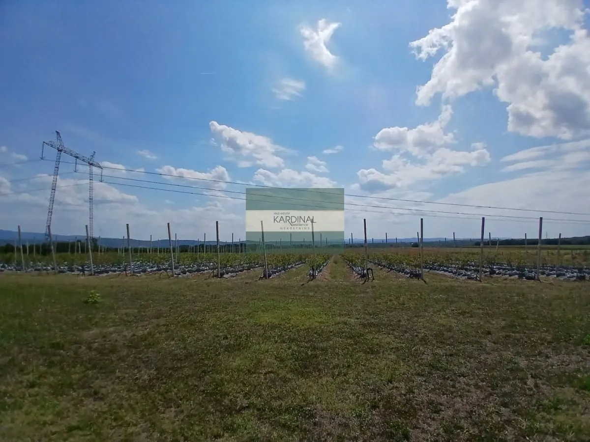 Prodaja, plac, 285100m², Medjureč, Jagodina