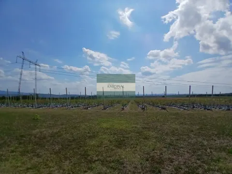 Prodaja, plac, 285100m², Medjureč, Jagodina - image 12