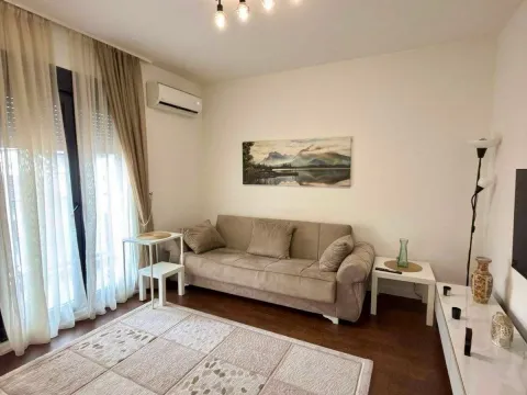 Rent, one bedroom apartment, 369m², Krivi Most, Podgorica - image 3