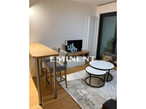 Izdavanje, jednosoban stan, 36m², Lion, Zvezdara Sve Podlokacije - image 2