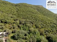 Prodaja, plac, 14000m², Kumbor, Herceg Novi - image 4