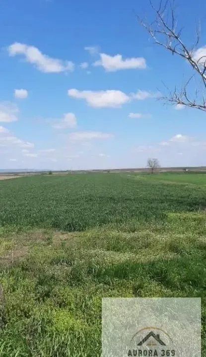 Prodaja, plac, 18600m², Ruma, Srbija