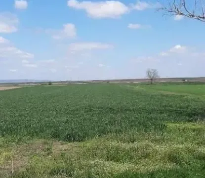 Prodaja, plac, 186m², Ruma, Srbija