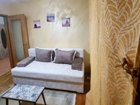 Prodaja, stan, 24m², Zabjelo, Podgorica - image 8