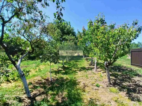 Prodaja, kuća, 65m², Kovačevac, Jagodina - image 31
