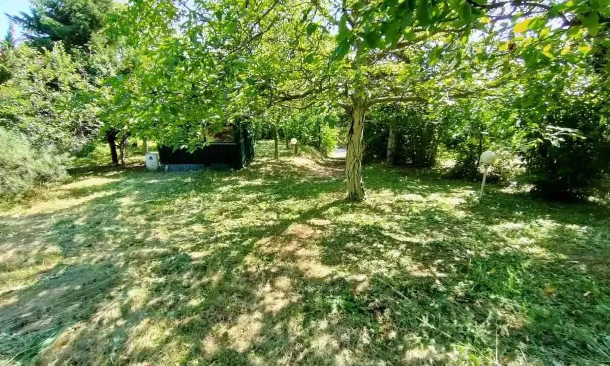 Prodaja, plac, 1500m², Bocke, Petrovaradin