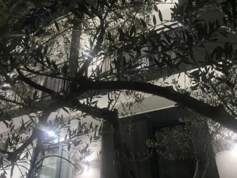 Izdavanje, jednosoban stan, 50m², Šušanj, Bar - image 10