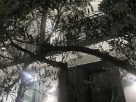 Izdavanje, jednosoban stan, 50m², Šušanj, Bar - image 10