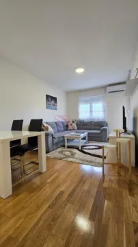 Izdavanje, jednosoban stan, 44m², Zagorič, Podgorica - image 1