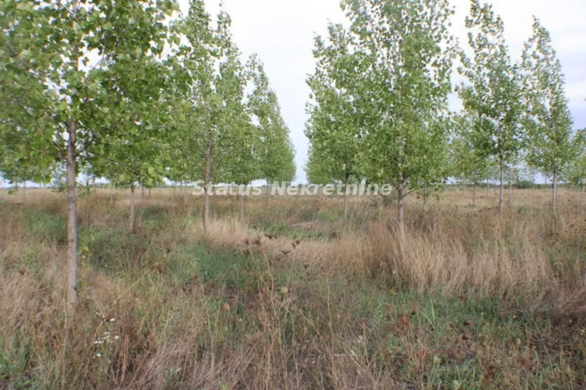 Prodaja, plac, 1378m², Zrenjanin, Srbija