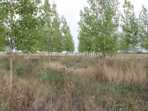 Prodaja, plac, 1378m², Zrenjanin, Srbija - image 23