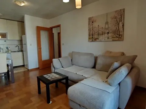 Izdavanje, stan, 67m², Stari Aerodrom, Podgorica - image 4