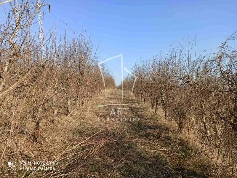 Sale, land lot, 56800m², Barajevo, Beograd