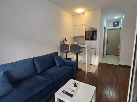 Izdavanje, garsonjera, 27m², Master Kvart, Podgorica - image 9