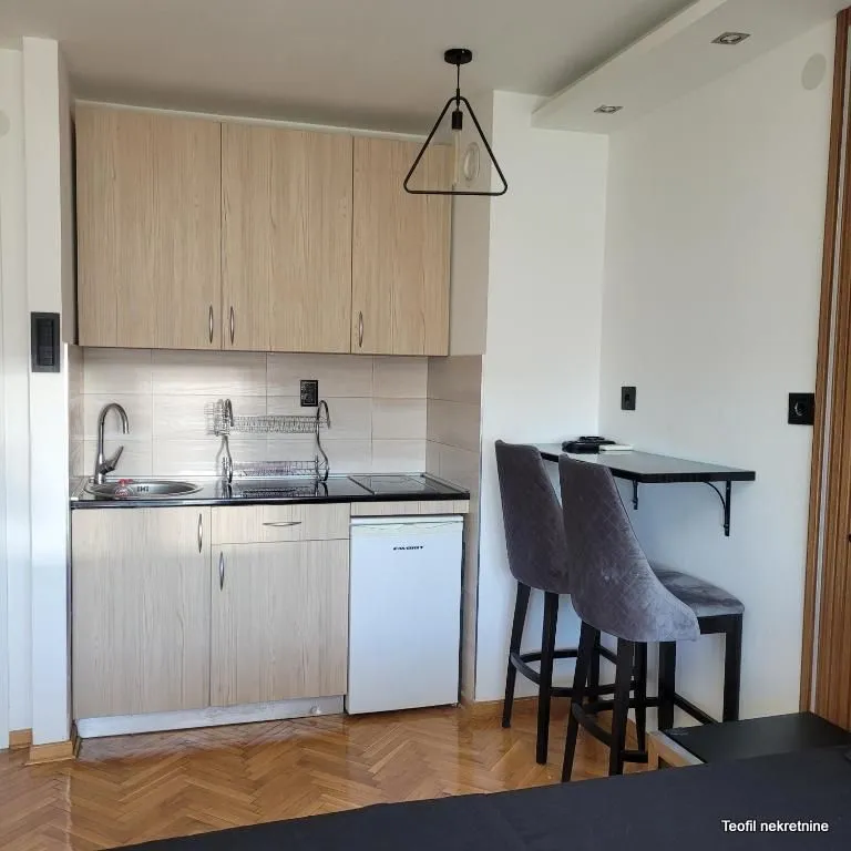 Rent, studio apartment, 22m², Kalenić Pijaca, Vračar Sve Podlokacije