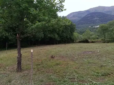 Pogled na zeleno dvorište sa drvećem i planinama u pozadini. - image 5
