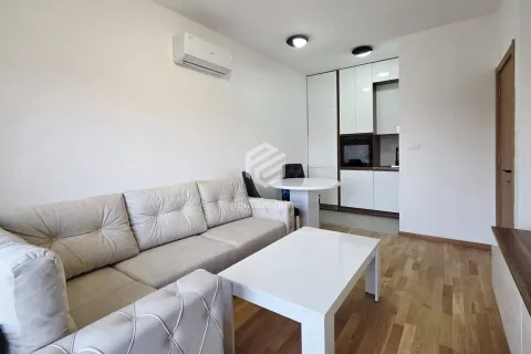 Rent, one bedroom apartment, 34m², Zabjelo, Podgorica - image 2