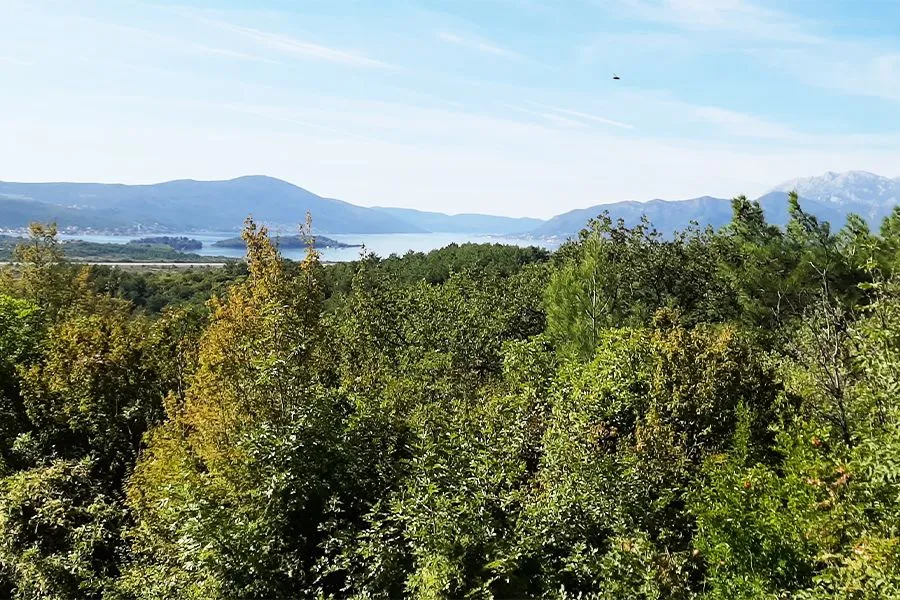 Prodaja, plac, 1650m², Kavač, Kotor